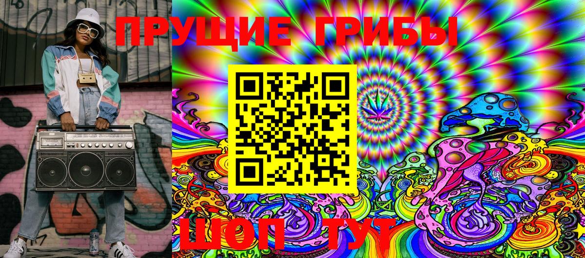 Псилоцибиновые грибы Psilocybine cubensis Лангепас